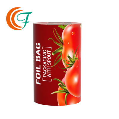 Professional Film Pouch Packaging Manufacturer Heat Sealing Flexible Packaging Film